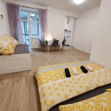 Star With Terrace 5c Brno